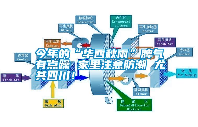 今年的“華西秋雨”脾氣有點(diǎn)躁 家里注意防潮 尤其四川！