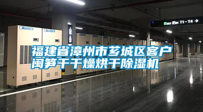 福建省漳州市薌城區客戶閩筍干干燥烘干除濕機