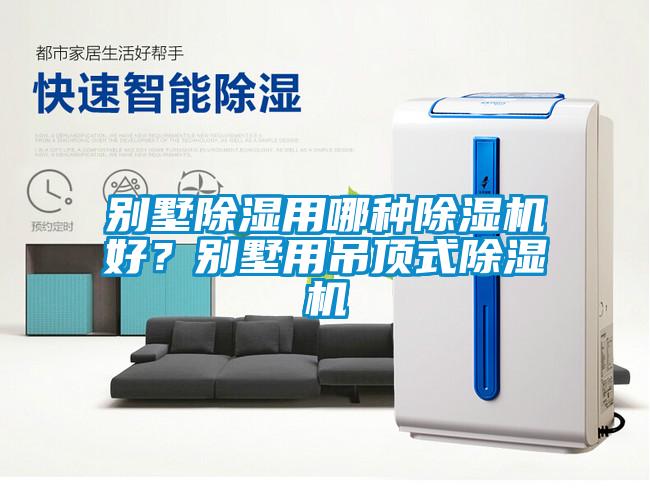 別墅除濕用哪種除濕機好？別墅用吊頂式除濕機