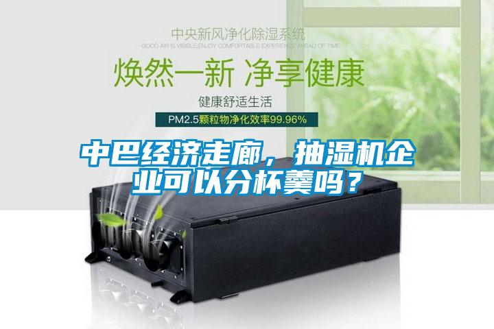 中巴經濟走廊，抽濕機企業可以分杯羹嗎？