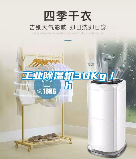 工業除濕機30Kg／h