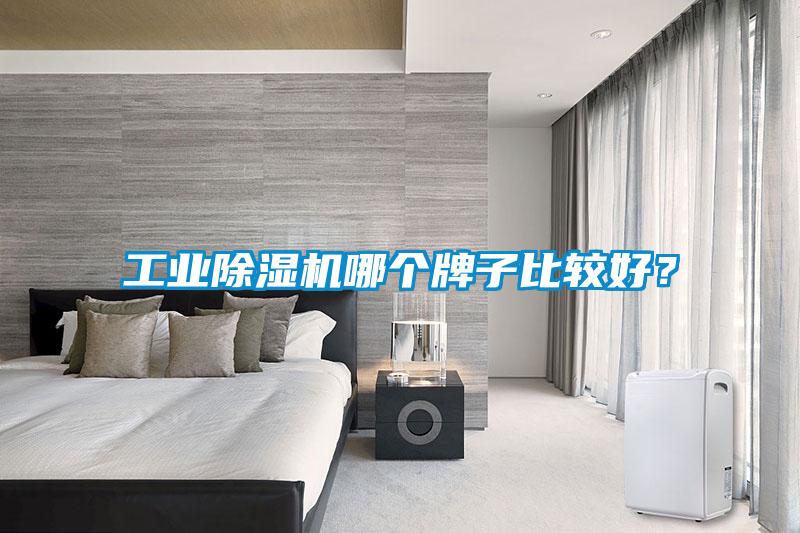 工業(yè)除濕機哪個牌子比較好？