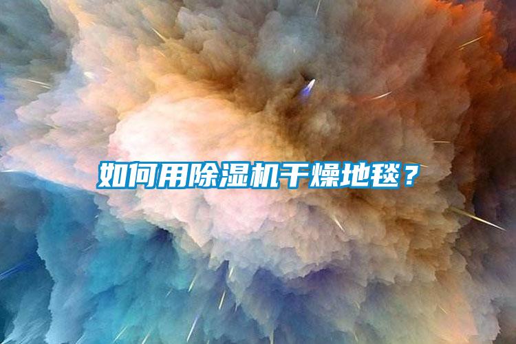 如何用除濕機干燥地毯？