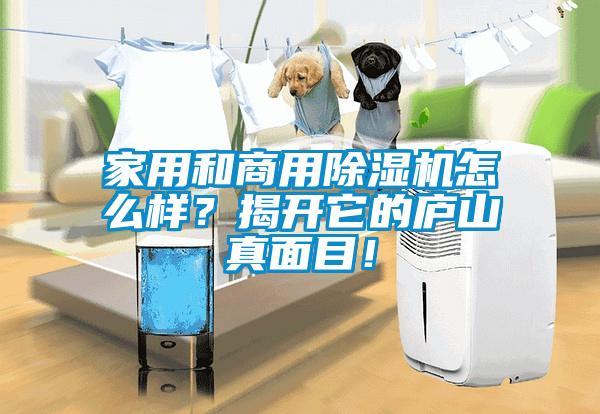 家用和商用除濕機(jī)怎么樣？揭開(kāi)它的廬山真面目！