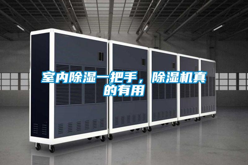 室內除濕一把手，除濕機真的有用