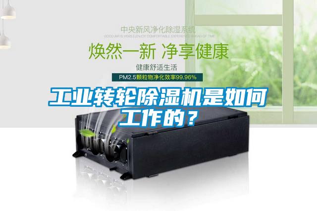 工業轉輪除濕機是如何工作的？