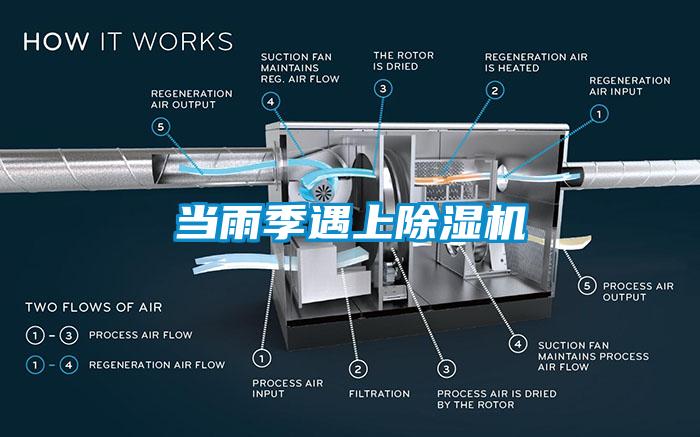 當雨季遇上除濕機