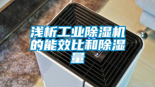 淺析工業除濕機的能效比和除濕量