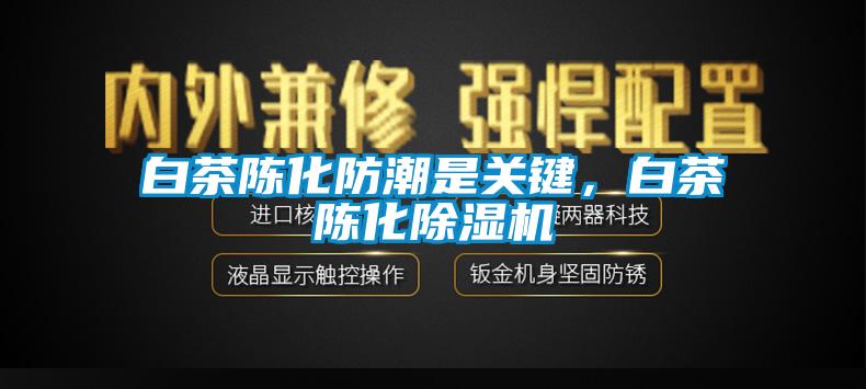 白茶陳化防潮是關鍵，白茶陳化除濕機