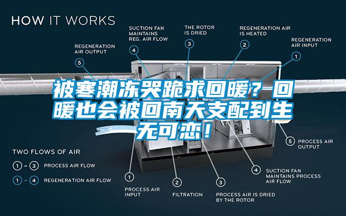 被寒潮凍哭跪求回暖？回暖也會被回南天支配到生無可戀！