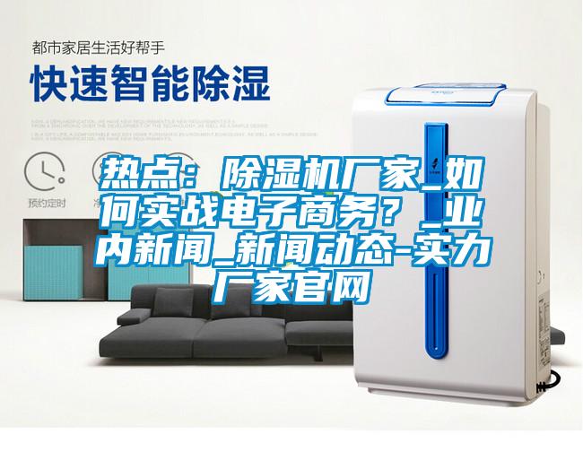 熱點：除濕機廠家_如何實戰電子商務？_業內新聞_新聞動態-實力廠家官網