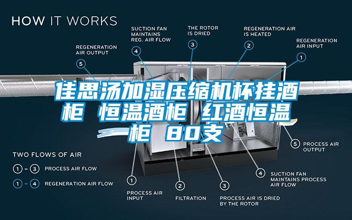 佳思湯加濕壓縮機杯掛酒柜 恒溫酒柜 紅酒恒溫柜 80支