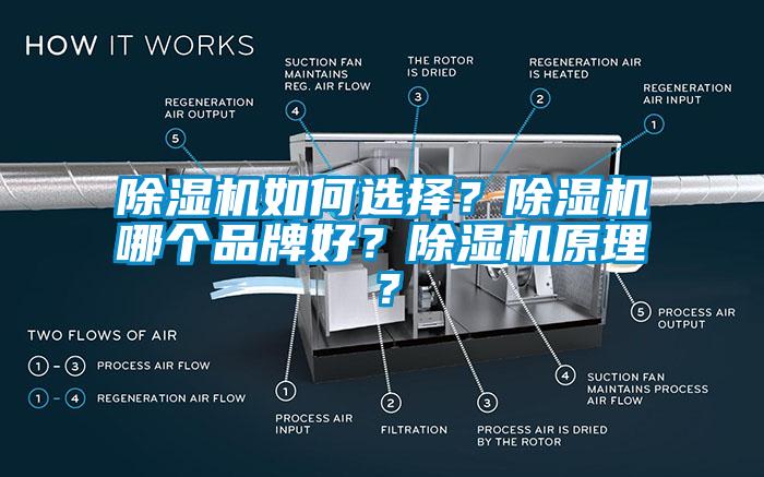 除濕機如何選擇？除濕機哪個品牌好？除濕機原理？