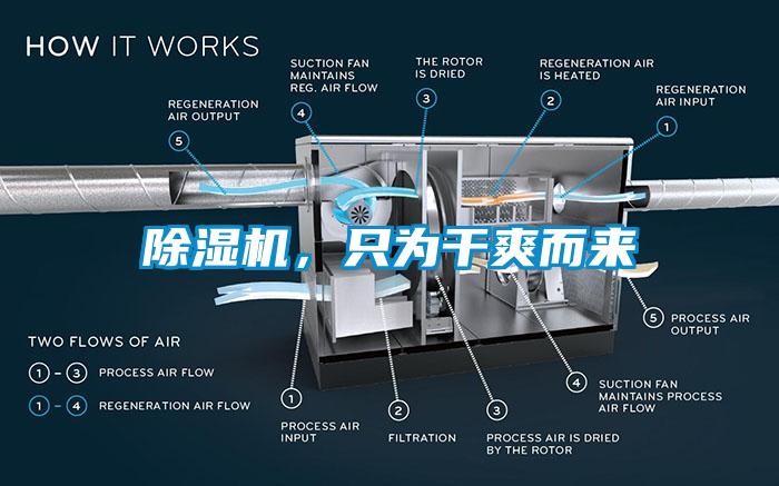 除濕機(jī)，只為干爽而來(lái)