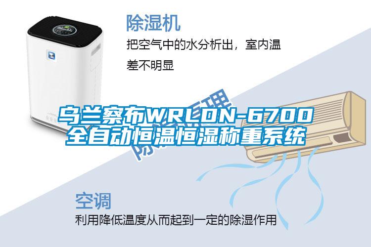 烏蘭察布WRLDN-6700全自動恒溫恒濕稱重系統