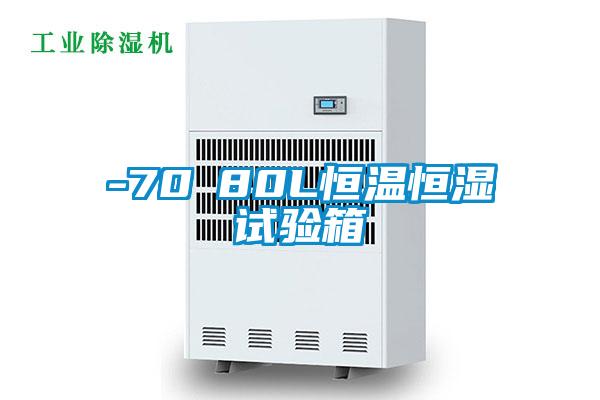 -70℃80L恒溫恒濕試驗箱