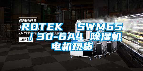 ROTEK  SWM65／30-6A4 除濕機電機現貨