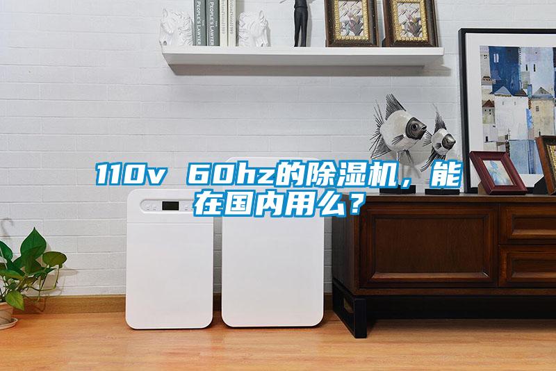 110v 60hz的除濕機，能在國內用么？