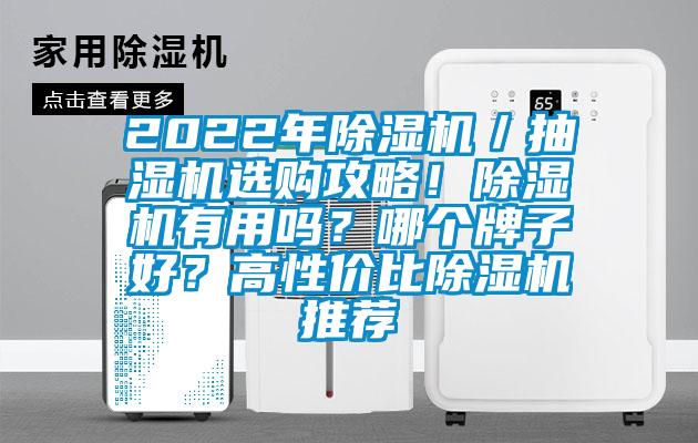 2022年除濕機／抽濕機選購攻略！除濕機有用嗎？哪個牌子好？高性價比除濕機推薦