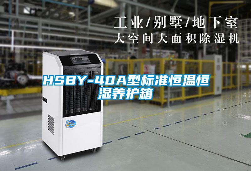 HSBY-40A型標準恒溫恒濕養護箱