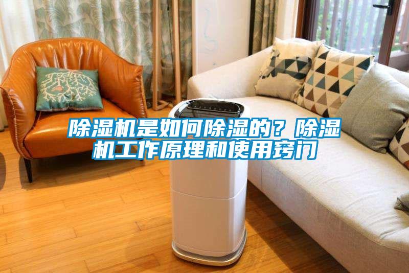 除濕機是如何除濕的？除濕機工作原理和使用竅門