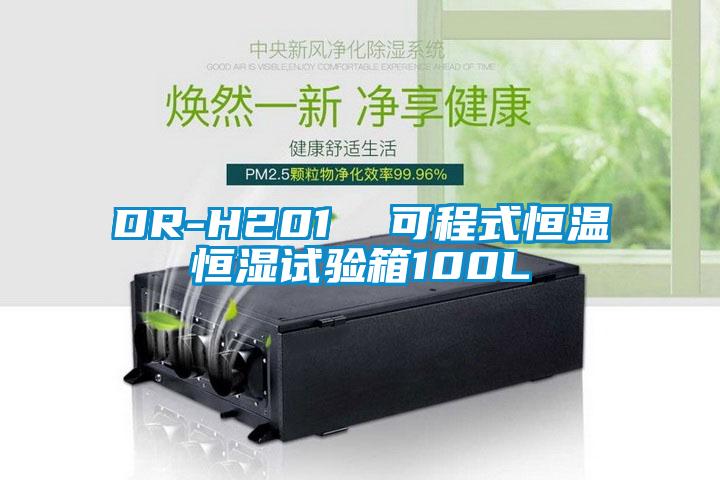 DR-H201  可程式恒溫恒濕試驗(yàn)箱100L