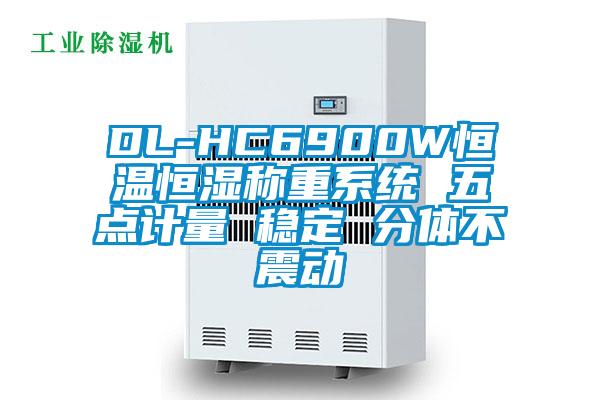 DL-HC6900W恒溫恒濕稱重系統(tǒng) 五點計量 穩(wěn)定 分體不震動