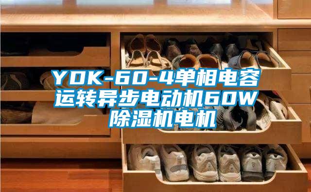 YDK-60-4單相電容運轉異步電動機60W 除濕機電機