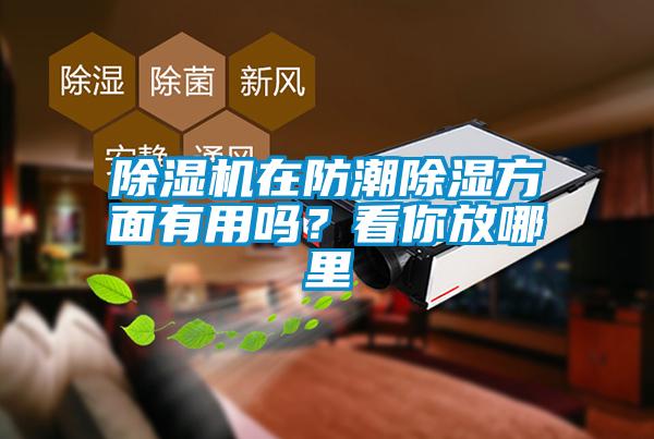 除濕機在防潮除濕方面有用嗎？看你放哪里