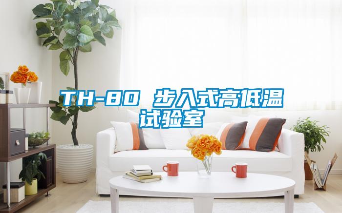 TH-80 步入式高低溫試驗(yàn)室