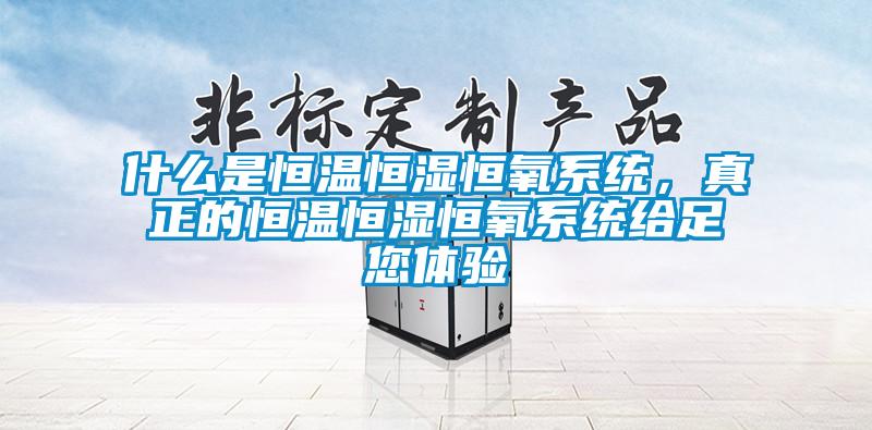 什么是恒溫恒濕恒氧系統(tǒng)，真正的恒溫恒濕恒氧系統(tǒng)給足您體驗(yàn)