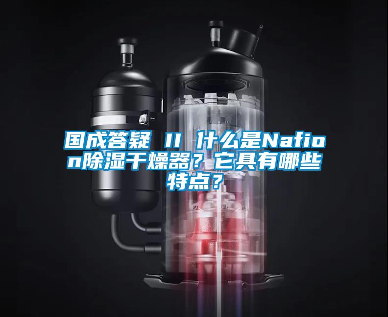 國成答疑 II 什么是Nafion除濕干燥器？它具有哪些特點？