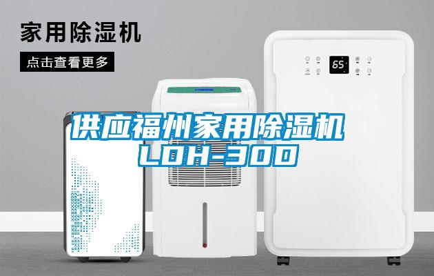 供應福州家用除濕機 LDH-30D