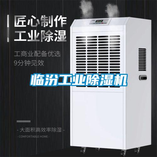 臨汾工業除濕機