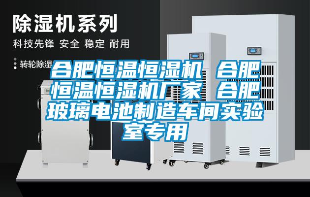 合肥恒溫恒濕機 合肥恒溫恒濕機廠家 合肥玻璃電池制造車間實驗室專用