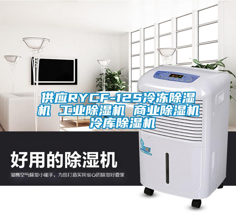 供應RYCF-12S冷凍除濕機 工業除濕機 商業除濕機 冷庫除濕機