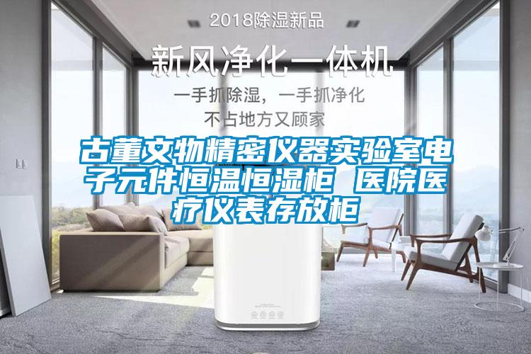 古董文物精密儀器實驗室電子元件恒溫恒濕柜 醫院醫療儀表存放柜