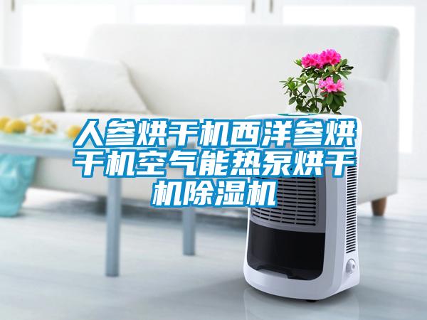 人參烘干機西洋參烘干機空氣能熱泵烘干機除濕機