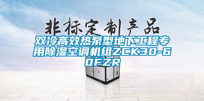 雙冷高效熱泵型地下工程專用除濕空調機組ZCK30-60FZR