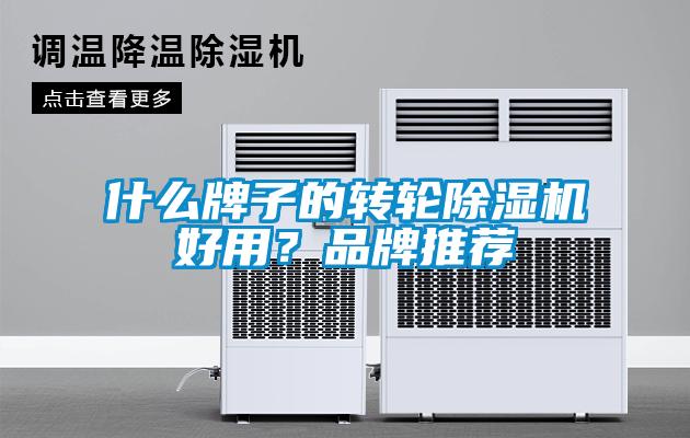 什么牌子的轉輪除濕機好用？品牌推薦