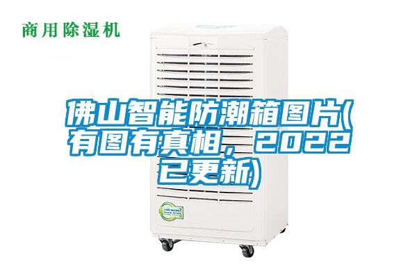 佛山智能防潮箱圖片(有圖有真相，2022已更新)