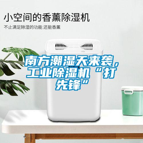 南方潮濕天來襲，工業(yè)除濕機“打先鋒”