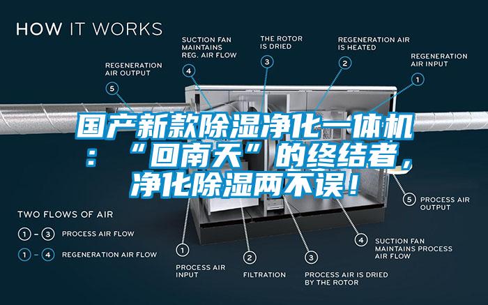 國產新款除濕凈化一體機：“回南天”的終結者，凈化除濕兩不誤！