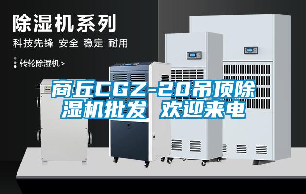 商丘CGZ-20吊頂除濕機批發 歡迎來電