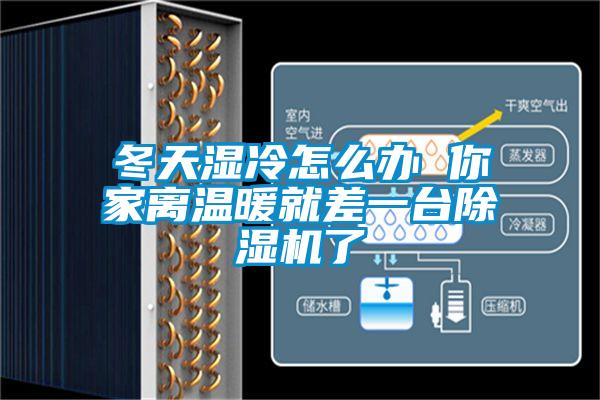 冬天濕冷怎么辦 你家離溫暖就差一臺除濕機了