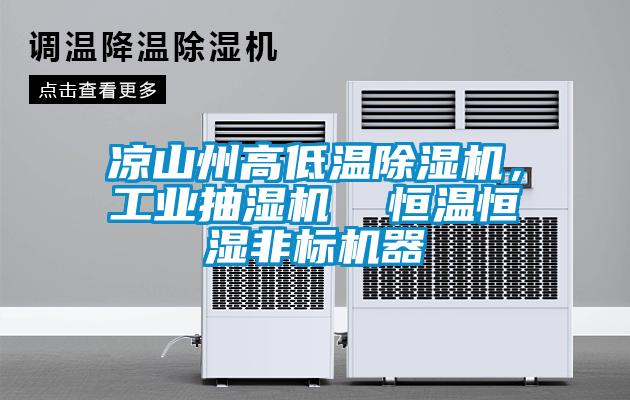 涼山州高低溫除濕機，工業抽濕機  恒溫恒濕非標機器