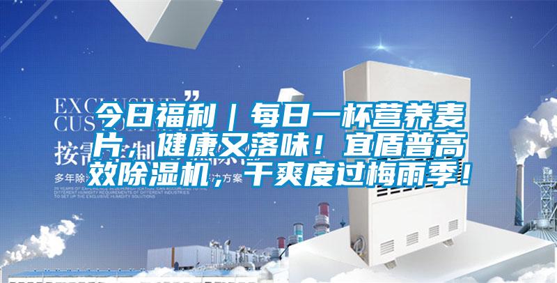 今日福利｜每日一杯營養(yǎng)麥片，健康又落味！宜盾普高效除濕機(jī)，干爽度過梅雨季！