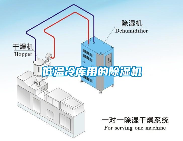 低溫冷庫用的除濕機(jī)