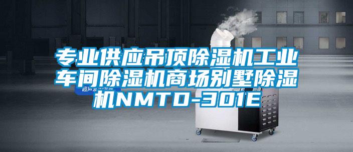 專業供應吊頂除濕機工業車間除濕機商場別墅除濕機NMTD-301E