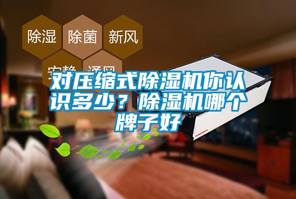 對壓縮式除濕機你認識多少？除濕機哪個牌子好